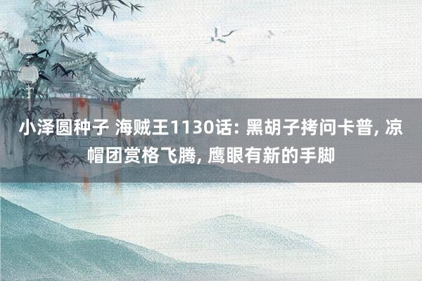 小泽圆种子 海贼王1130话: 黑胡子拷问卡普， 凉帽团赏格飞腾， 鹰眼有新的手脚