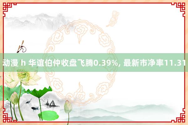 动漫 h 华谊伯仲收盘飞腾0.39%， 最新市净率11.31