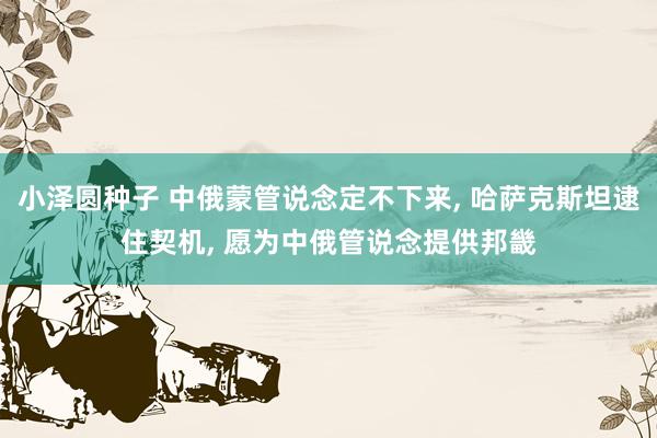 小泽圆种子 中俄蒙管说念定不下来， 哈萨克斯坦逮住契机， 愿为中俄管说念提供邦畿