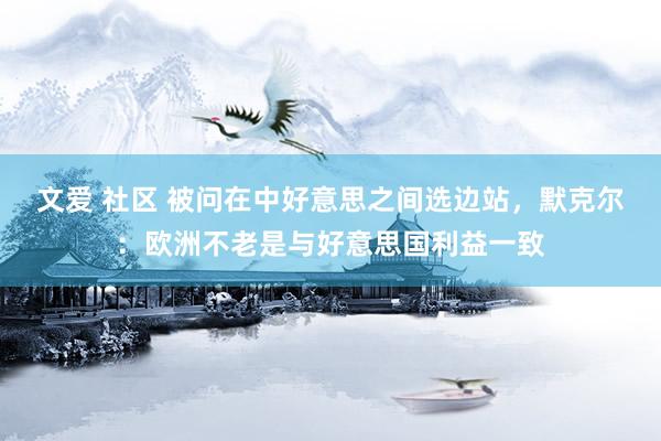 文爱 社区 被问在中好意思之间选边站，默克尔：欧洲不老是与好意思国利益一致