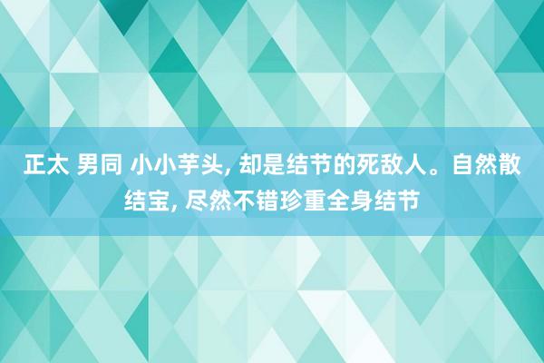 正太 男同 小小芋头， 却是结节的死敌人。自然散结宝， 尽然不错珍重全身结节