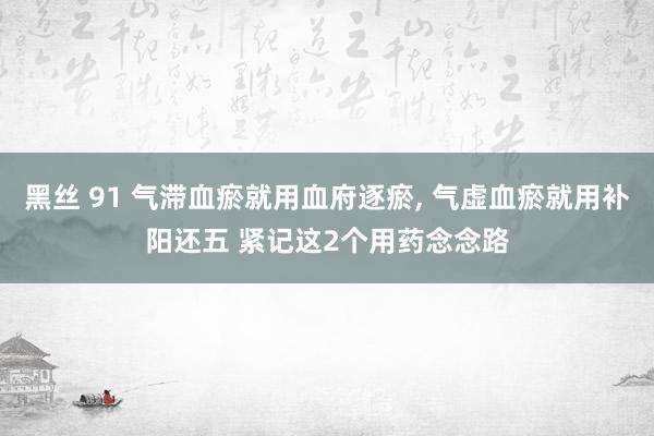 黑丝 91 气滞血瘀就用血府逐瘀， 气虚血瘀就用补阳还五 紧记这2个用药念念路