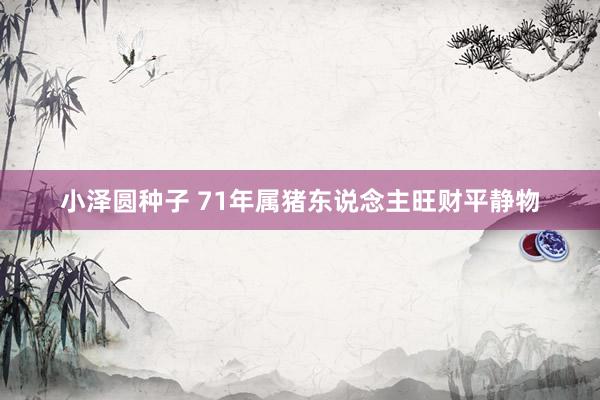 小泽圆种子 71年属猪东说念主旺财平静物